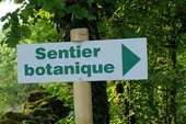 Sentier-botanique-2