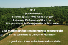 Bilan vidéo 2018