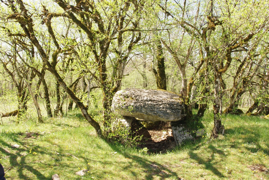 dolmen d’aurié1