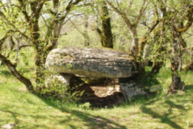 dolmen de Joncas