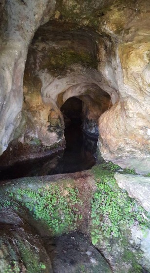grotte roquecave